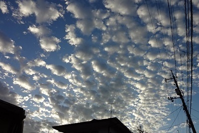 se_kumo_aki_001.jpg
